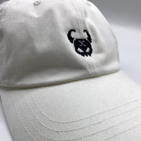 Vyrus Origins Hat - White